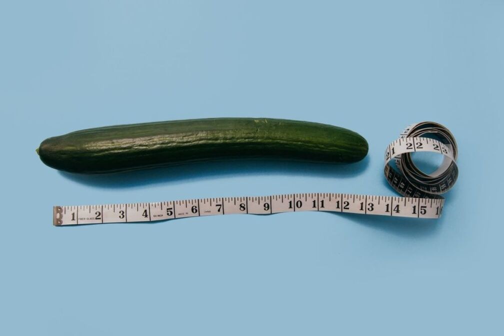 Measuring the size of the penis using the example of cucumber