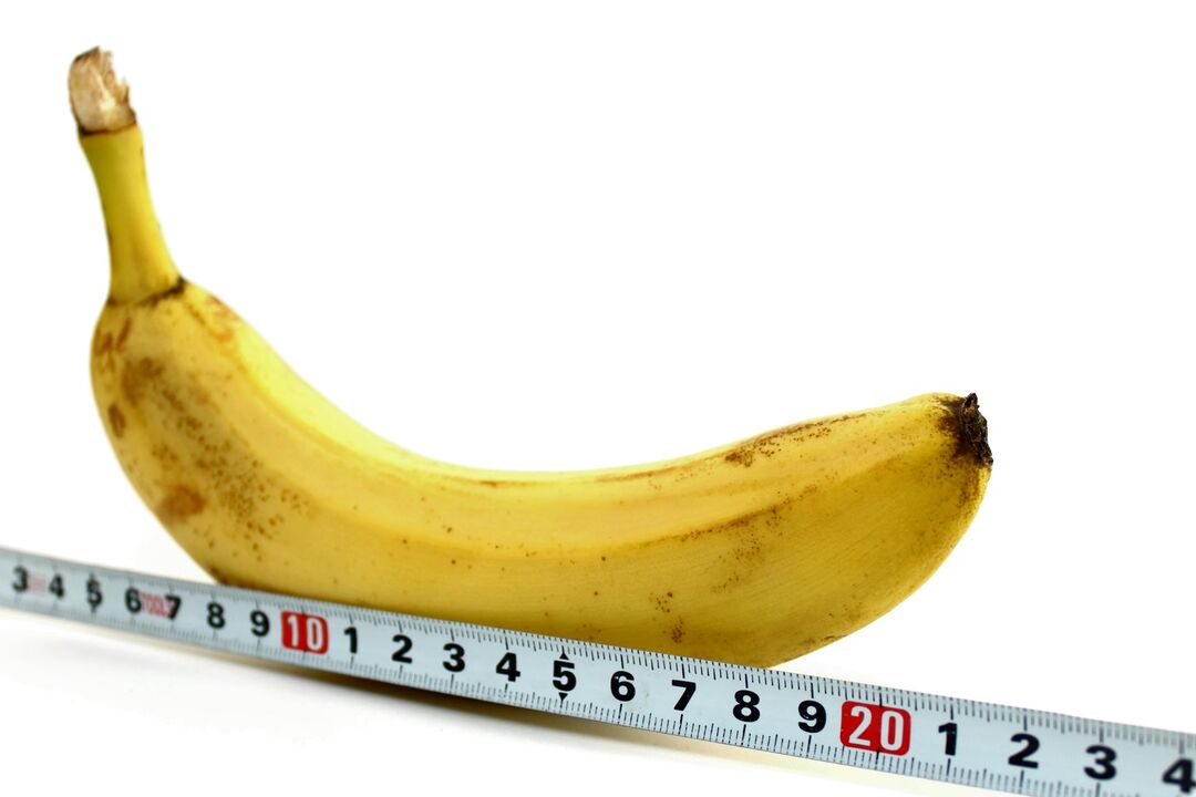 The size of the penis of the example of a banana